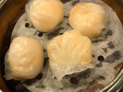-点点心点心专门店(湾仔店)