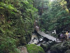 -藏龙百瀑风景区