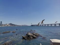 -日月昇渔家菜·海肠捞饭·大连海鲜(星海公园店)