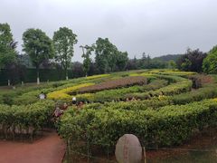 -铁山坪森林公园