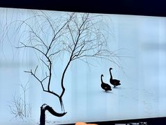 -BLACKSWAN黑天鹅(环球店)