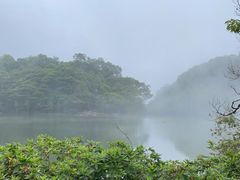 -广州市石门国家森林公园