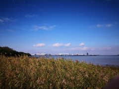 -吴淞炮台湾湿地森林公园烧烤区