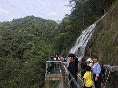 -九龙江国家森林公园