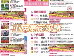 -南山植物园