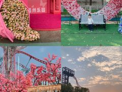 -温州乐园