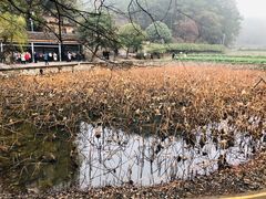 -韶山毛泽东同志故居