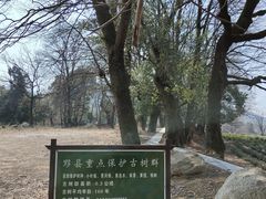 -塔川景区