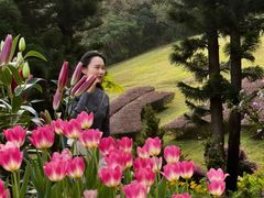 -深圳仙湖植物园