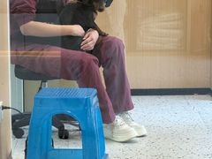 -瑞派康怡24h宠物医院·犬猫医疗中心·微创绝育(瑞景分院)