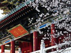 -迎泽公园