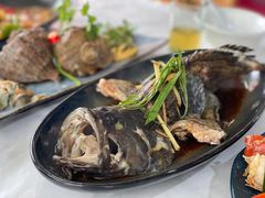 清蒸龙胆-阿尔法海鲜排档(爱琴海店)