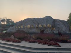 -北京西山国家森林公园