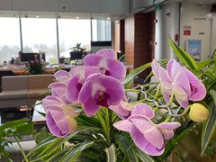 -招商银行(上海分行营业部)