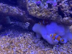 -常州海昌海洋探索馆