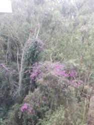 -爱丽馨御景月子中心