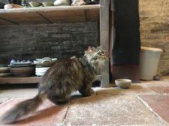 -老屋咖啡