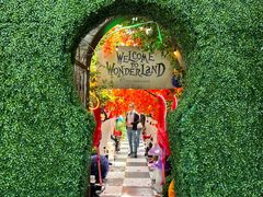 -The Grounds of Alexandria