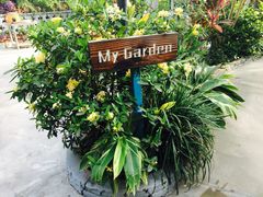 -天然居(伦教店)