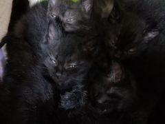 -仓库烤肉(绿园店)