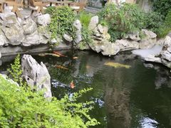 -鲤院·新中式美学·庭院餐厅(夫子庙店)