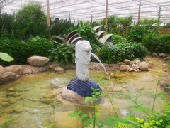 -南宫五洲植物乐园