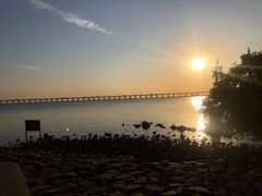 -宝安西湾红树林湿地公园