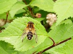 -长春公园(普阳街道)