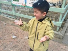 -杭州开元森泊度假乐园