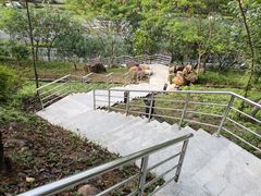 -回龙埔公园