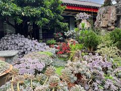 -山菌美食苑(振兴路店)