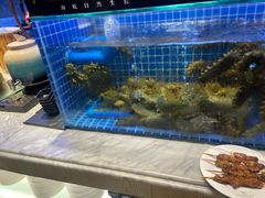 -川骄海鲜自助(河东店)