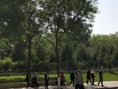 -迎泽公园