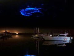 -日照世帆赛基地