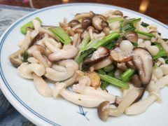 橄油菌菇-以前的小酒馆(中山广场店)