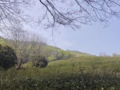 -南山风景名胜区
