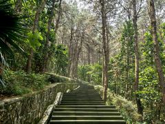 -铁山坪森林公园