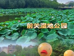 -前关湿地公园