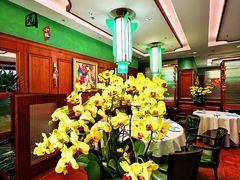 -蝶园·装修中(BFC外滩金融中心店)