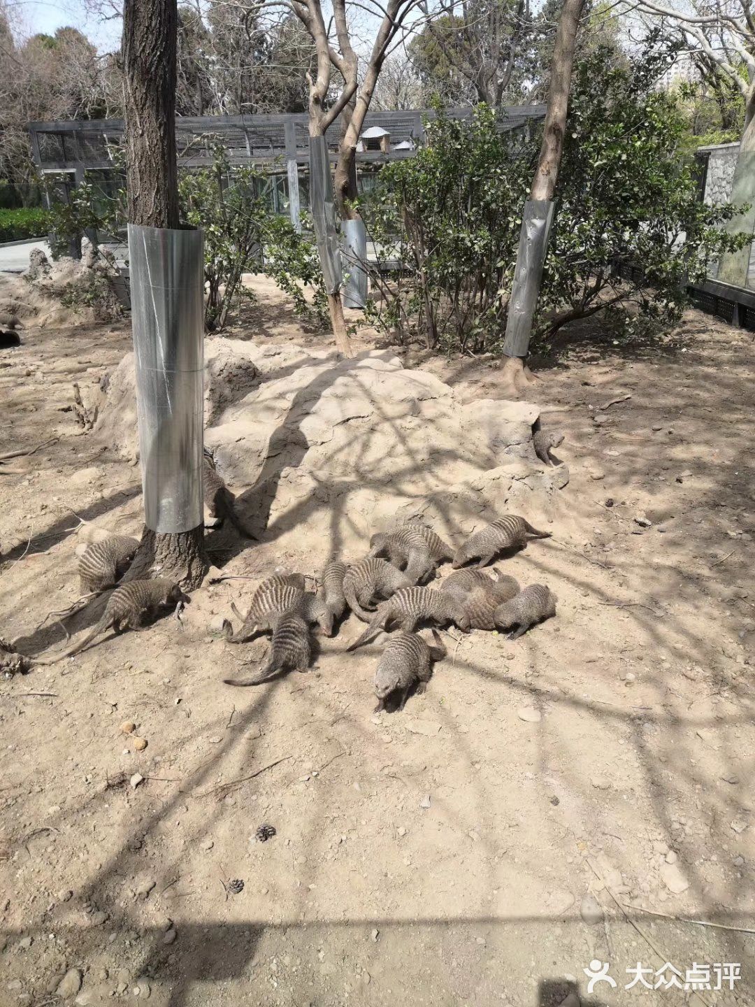 孩子放暑假遊玩的人比較多有地鐵2號線四號線都可以到北京動物園建議