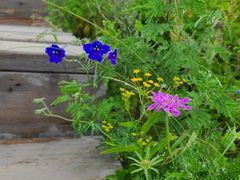 -白草畔自然风景区