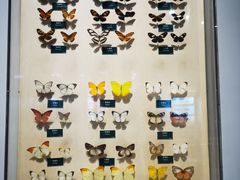 -陕西自然博物馆