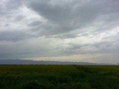 -扁都口生态休闲旅游区