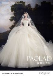 -南京宝娜嫁衣婚纱礼服馆(中央路店)
