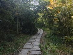 -宝界山林公园