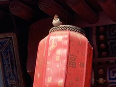 -暖泉古镇