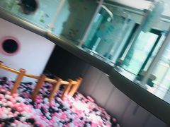 -龙格亲子游泳·水育早教运动中心(绿城店)