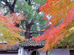 -芸海阁·农家私房菜(沙家浜景区出口店)