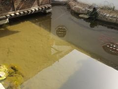 -膳和缘炒鸡店(南门路店)
