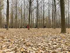 -汉景帝阳陵博物院